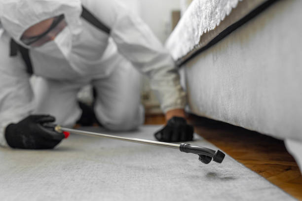 Professional Bed Bug Control technician working in College Station, TX