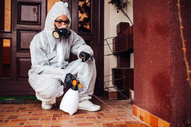 Reliable Bed Bug Control contractor in College Station, TX by Nex Pest Control